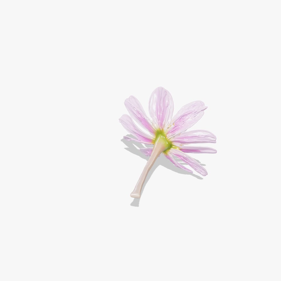 Lavandula Pink Botanical Sculpture model pack